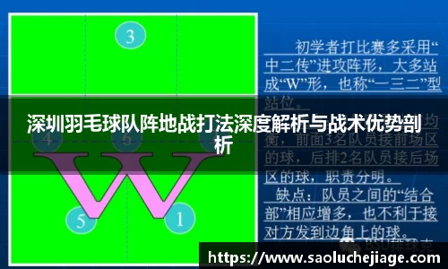 深圳羽毛球队阵地战打法深度解析与战术优势剖析