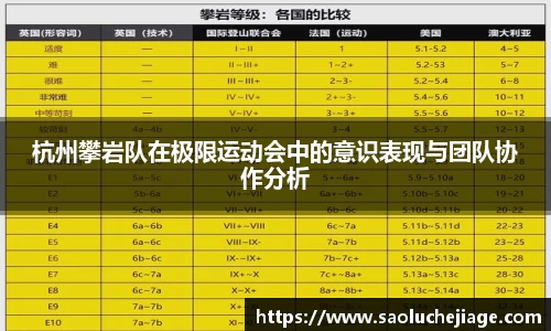 杭州攀岩队在极限运动会中的意识表现与团队协作分析