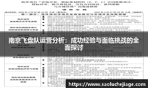 南京飞盘队运营分析：成功经验与面临挑战的全面探讨