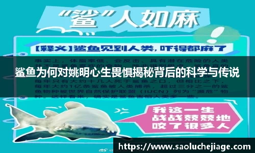 ag正规网站