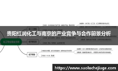 贵阳红润化工与南京的产业竞争与合作前景分析